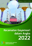 Kecamatan Gayamsari Dalam Angka 2022