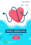 Health Profile of Semarang Municipality 2020