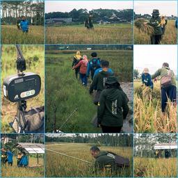 Kegiatan Survei Ubinan di Kecamatan Mijen Semarang